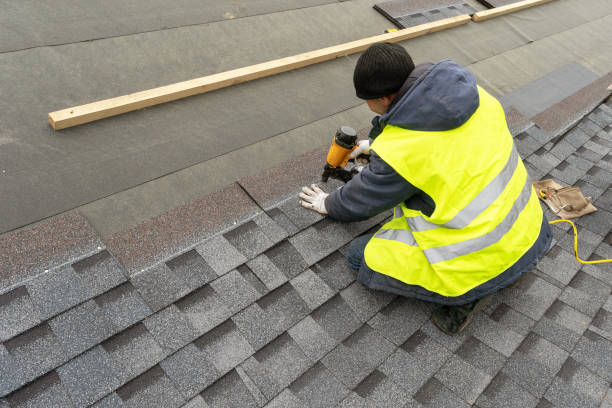 Roof Gutter Cleaning in Dumas, TX